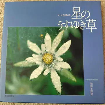 별의 옅은 눈꽃풀 : 레분 꽃 이야기