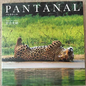 PANTANAL