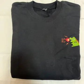 초특급 하루 생탄 괴수의 맨투맨 L 사이즈