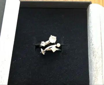 메테오라 1st Anniversary 반지 멜트 다 텐시