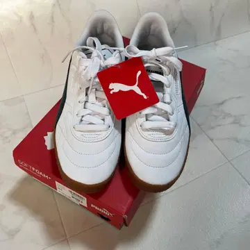 [ 새상품 ] 클럽존 *01WHT/D.MYRTLE24.5cm