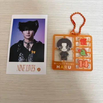 초특급 REAL 랜덤 플라스틱 모델풍 키링 미니 사진 하루