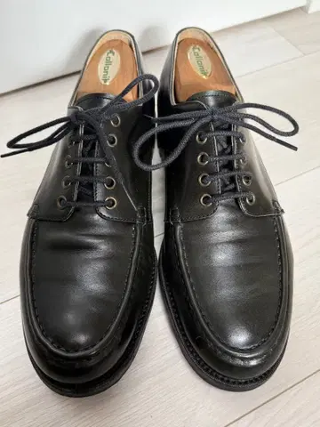 ORIENTAL 807 Derby moccasin 25.5 오리엔탈