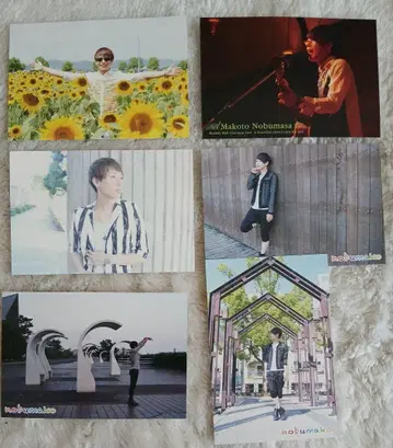 노부마사 마코토 사진 엽서 6매 세트