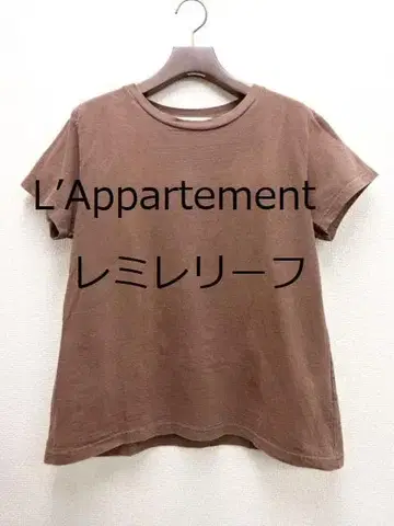 L'Appartement 레미리프 컴팩트 티셔츠 면100 브라운