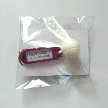 하이큐!! 트레이딩 고교명 부착 열쇠 참 키링 시라토리자와 학원 고교