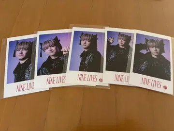 초특급 유키 미니 사진 NINE LIVES 컴프