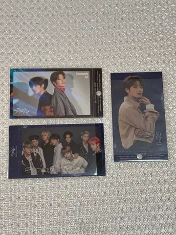 아이엔 stray kids