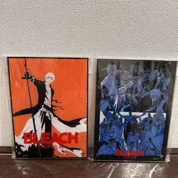 BLEACH 천년혈전편 쿠로사키 이치고 아크릴 스탠드 패널 2장 세트