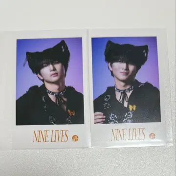 초특급 하루 미니 사진 NINELIVES