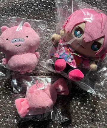 앰프턱 컬러즈 케차군