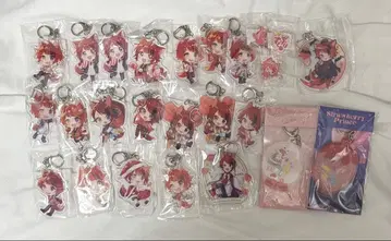 스토푸리 리이누군 아크릴 키링