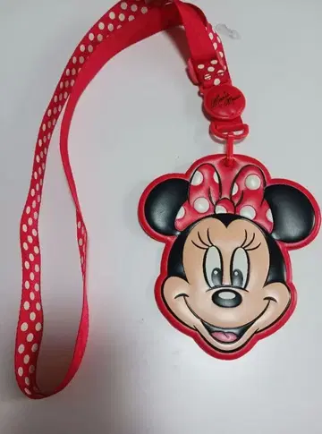 디즈니 미니 패스 케이스