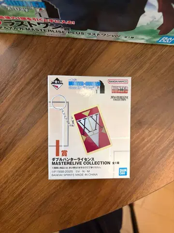 더블 헌터 라이선스 HUNTER x HUNTER