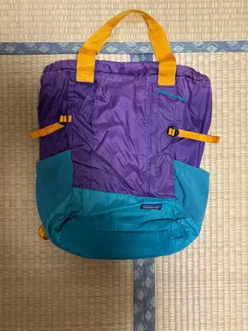 Patagonia 백팩 보라색과 파랑
