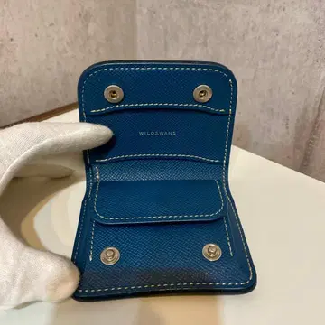 와일드 스완스 CASA 알란 고트