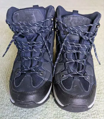 Alpine Design 26.5cm 블루