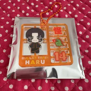 초특급 REAL? 랜덤 플라스틱 모델풍 키링 아크릴 키링 하루