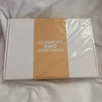 SEVENTEEN 세븐틴 BIRTHDAY BOX 디노 바파케