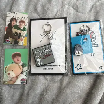 straykids 보이스 키링