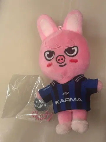 skzoo 트웨키 karma 창빈