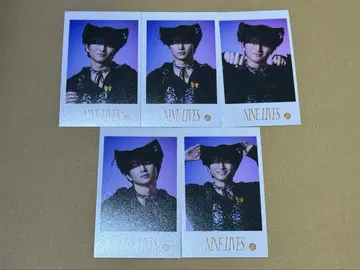 초특급 하루 미니 사진 NINE LIVES 컴프 세트