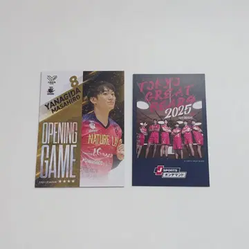 V 콜렉션 리얼 카드 그레베어 야나기타 마사히로 J 스포 카드 세트