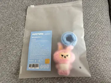 SEVENTEEN MINITEEN 데코 밴드