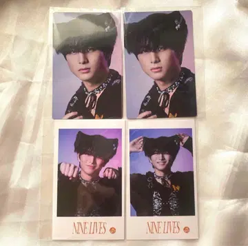 [ 초특급 ] 하루 NINELIVES 미니 사진 일반 버전 트레이딩 카드