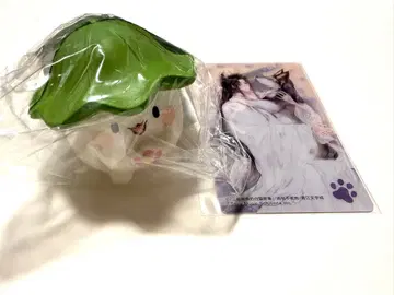 스퀴즈 이합화타적백묘사존 7권 8권 특전