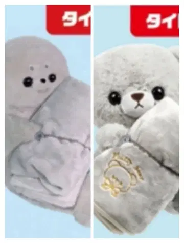 함께 낮잠 자는 물범 씨 곰돌이