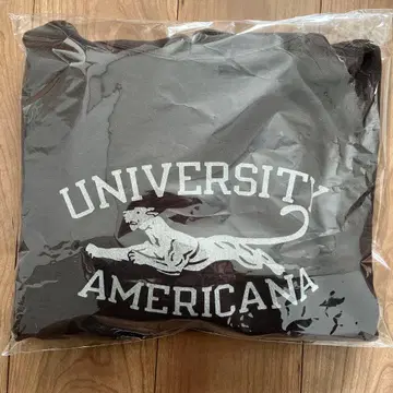 AP STUDIO AMERICANA 후디 풀오버 다크 브라운