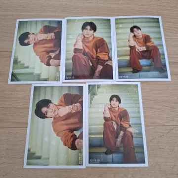 초특급 하루 카시와기 유 브로마이드 5장