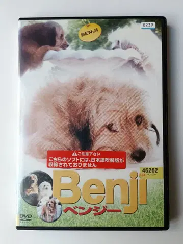 벤지 시리즈 3개 세트 DVD