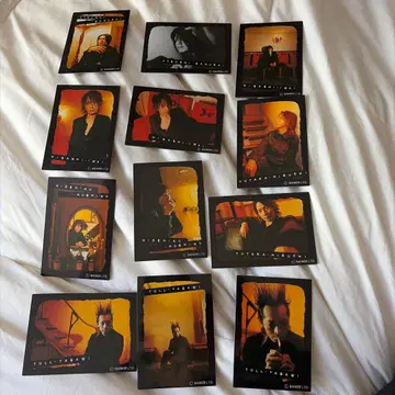 buck-tick 2004 트레이딩 카드 12장