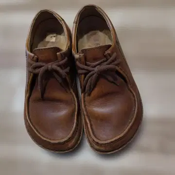 BIRKENSTOCK 브라운 파사데나 레이스업 신발 24cm