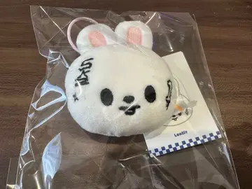 Straykids karma popup 네임택 리빗