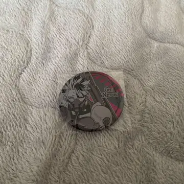 나루미 겐 데 컬렉션 캔뱃지 제2탄