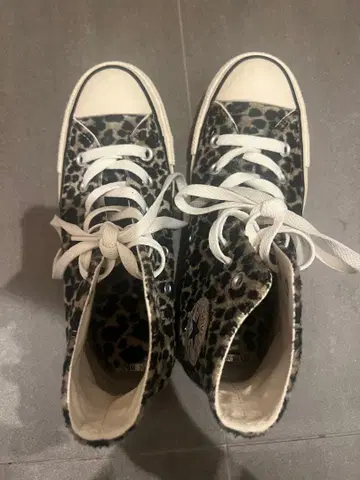CONVERSE 레오파드 무늬