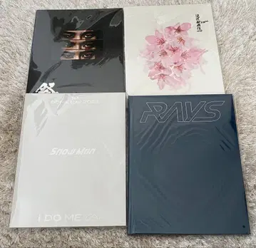 Snow Man 팜플렛 4점