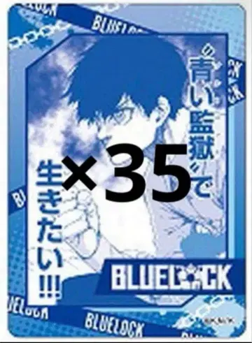 이사기 요이치 파보카