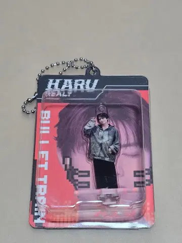 초특급 REAL? 하루 랜덤 블리스터 키링