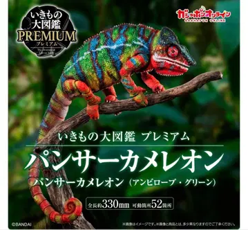 생물대도감 프리미엄 [ 팬서 카멜레온 ] 앰비 로브 그린