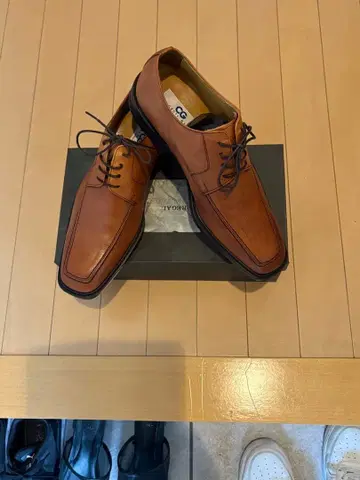 브라운 탄 드레스 신발