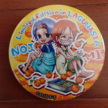 나미와 노지코의 한정판 핀 배지