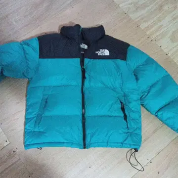 THE NORTH FACE 1996 레트로 눕시 다운 자켓 레어 컬러