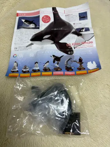 네이처 테크니컬러 남극 가챠가챠 범고래