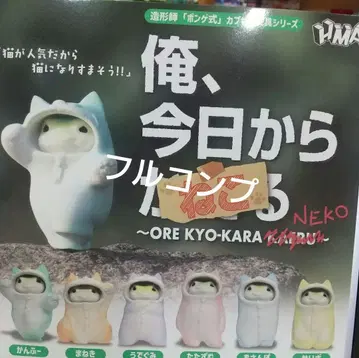 나, 오늘부터 고양이