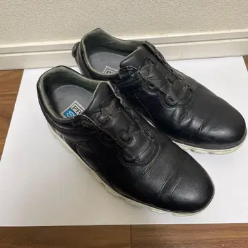 PRO SL 블랙 골프화