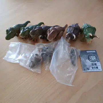 공룡 피규어 7체 세트 반다이남코